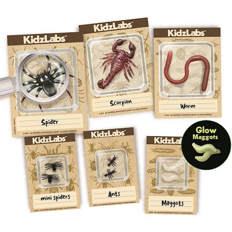  Kidzlabs Ανασκαφή Ζωύφια του Πλανήτη