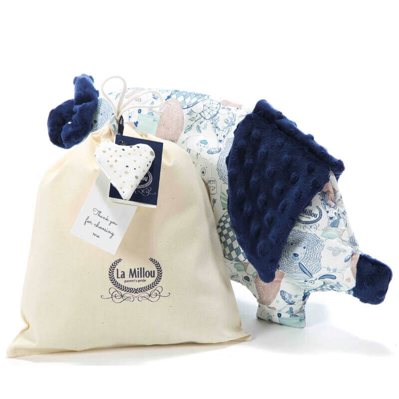 PackagingSleepyPig