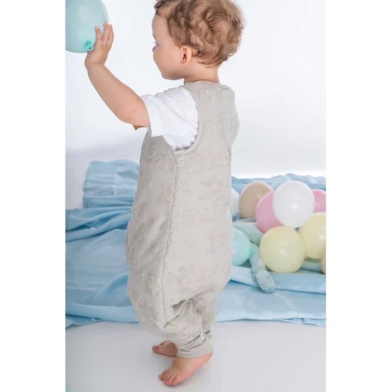BabyBliss BlissJump Χειμωνιάτικος Υπνόσακος Dreamy Zzz με ποδαράκια 2.5 tog Grey