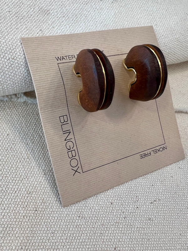 Wood Nut Earrings