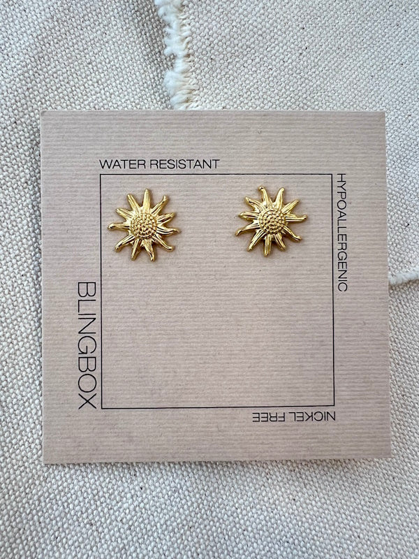 The Sun Earrings
