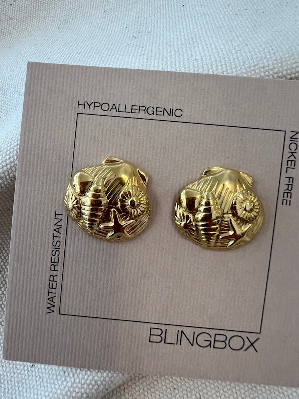 The Shell Earrings