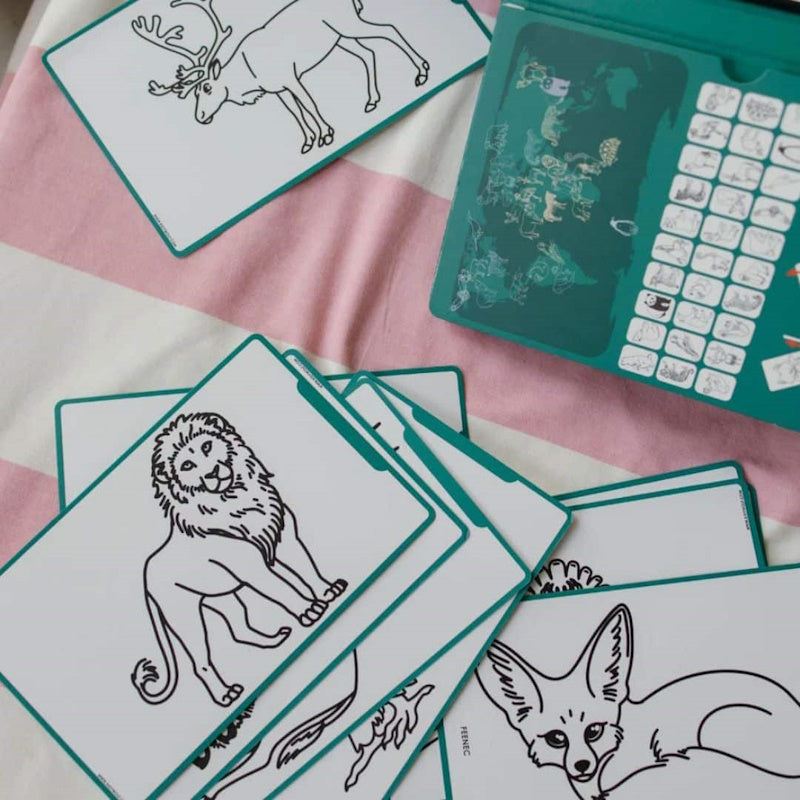 KIDYWOLF Tablet ζωγραφικής με οθόνη LCD (30 κάρτες)- Animals around the world