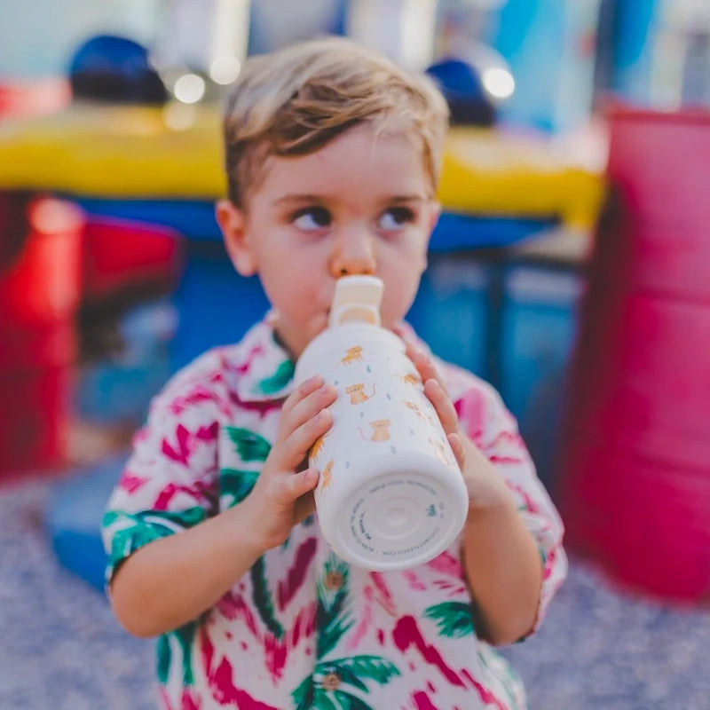 Cool Bottles Ανοξείδωτο Kiddies water bottle Cats 350ml